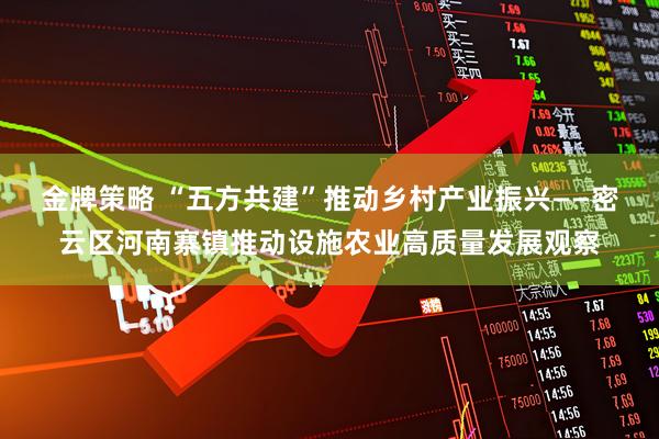 金牌策略 “五方共建”推动乡村产业振兴——密云区河南寨镇推动设施农业高质量发展观察